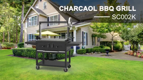 Easy Operation High Efficiency Vertical BBQ Grill Barbecue Grill Deals The Charcoal Grill